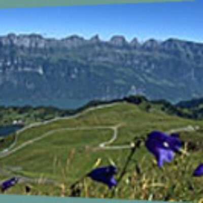 campingwaldhof_umgebung_flumserberg